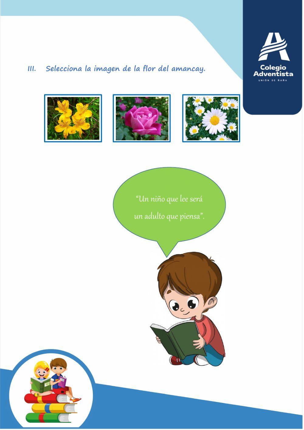 Comprensión de lectura