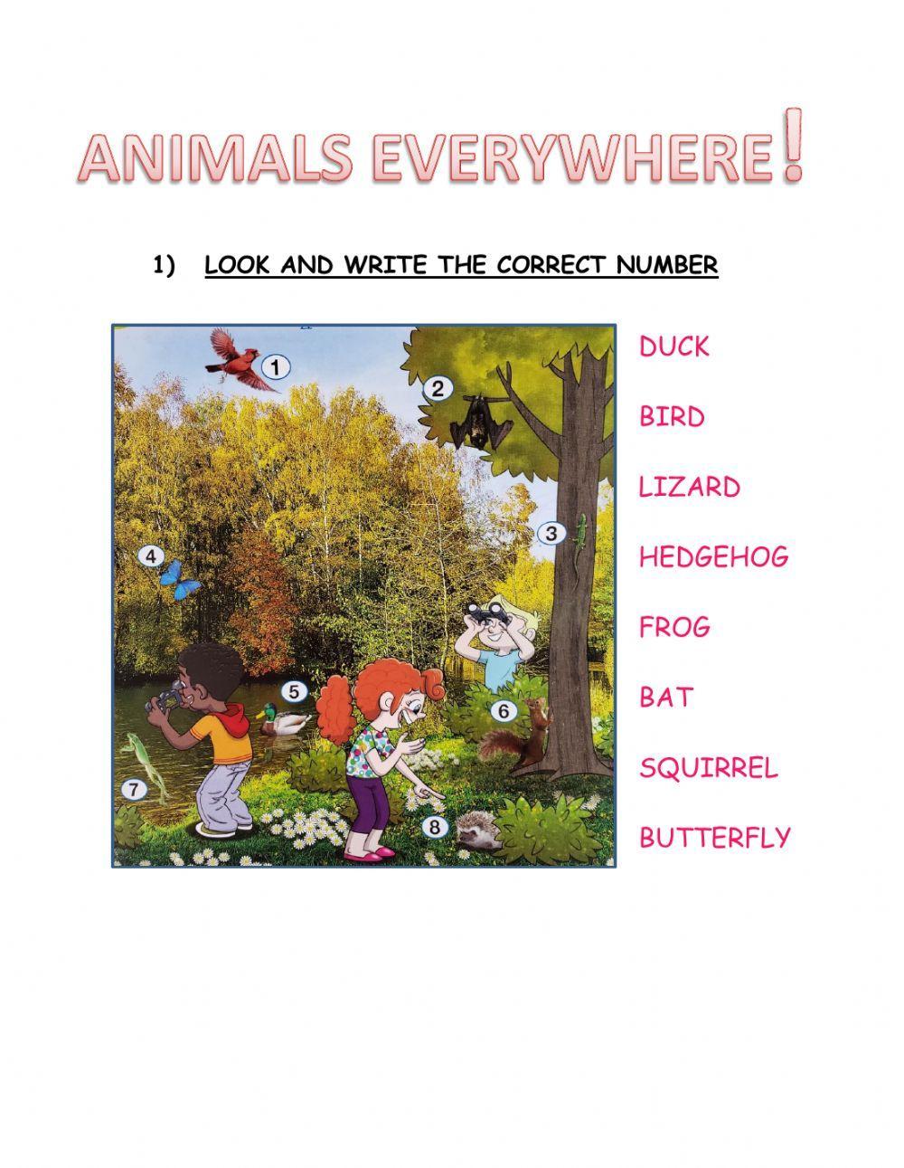 Animals everywhere