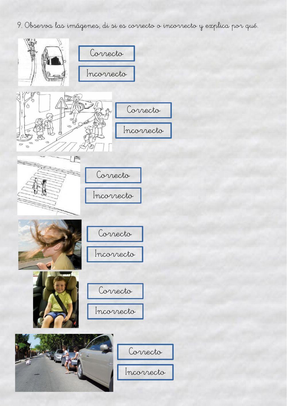 Los medios de transporte