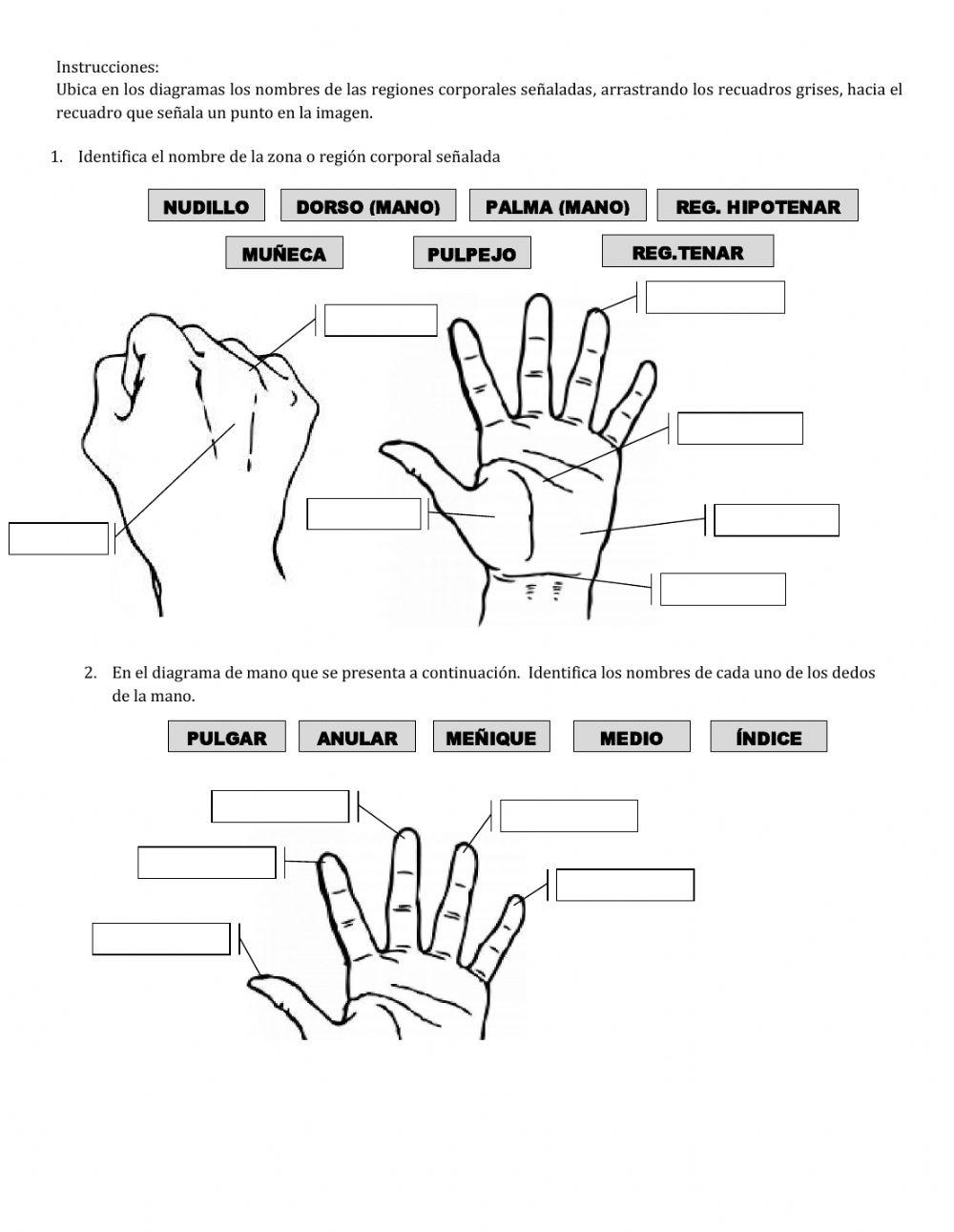 1. Introducción Anatomofisiología. Reg.Corporales