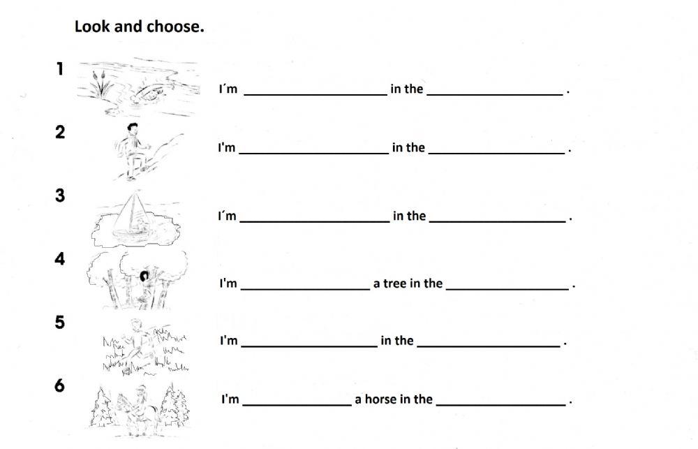 The Nature Trail (Present Continuous)