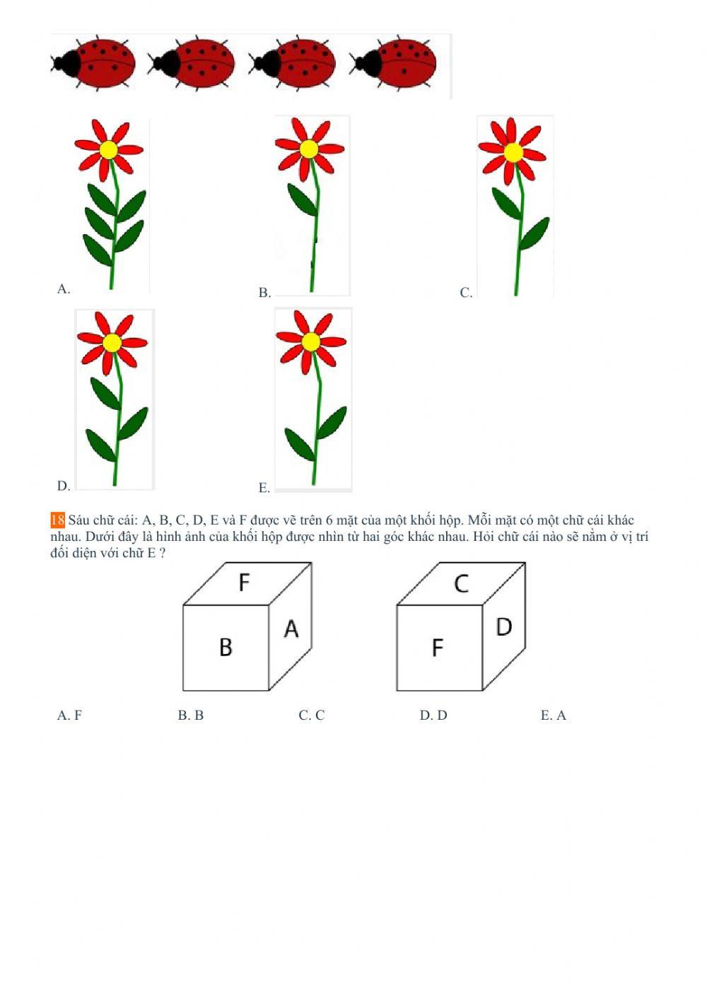 Đề Toán Kangaroo
