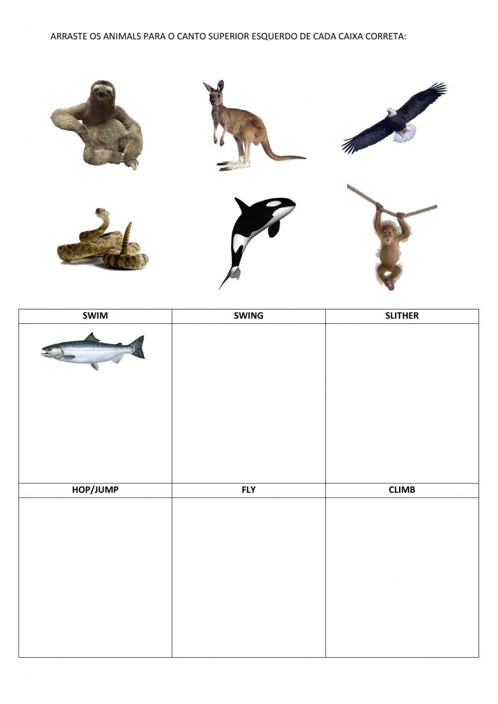 Animals and how they move