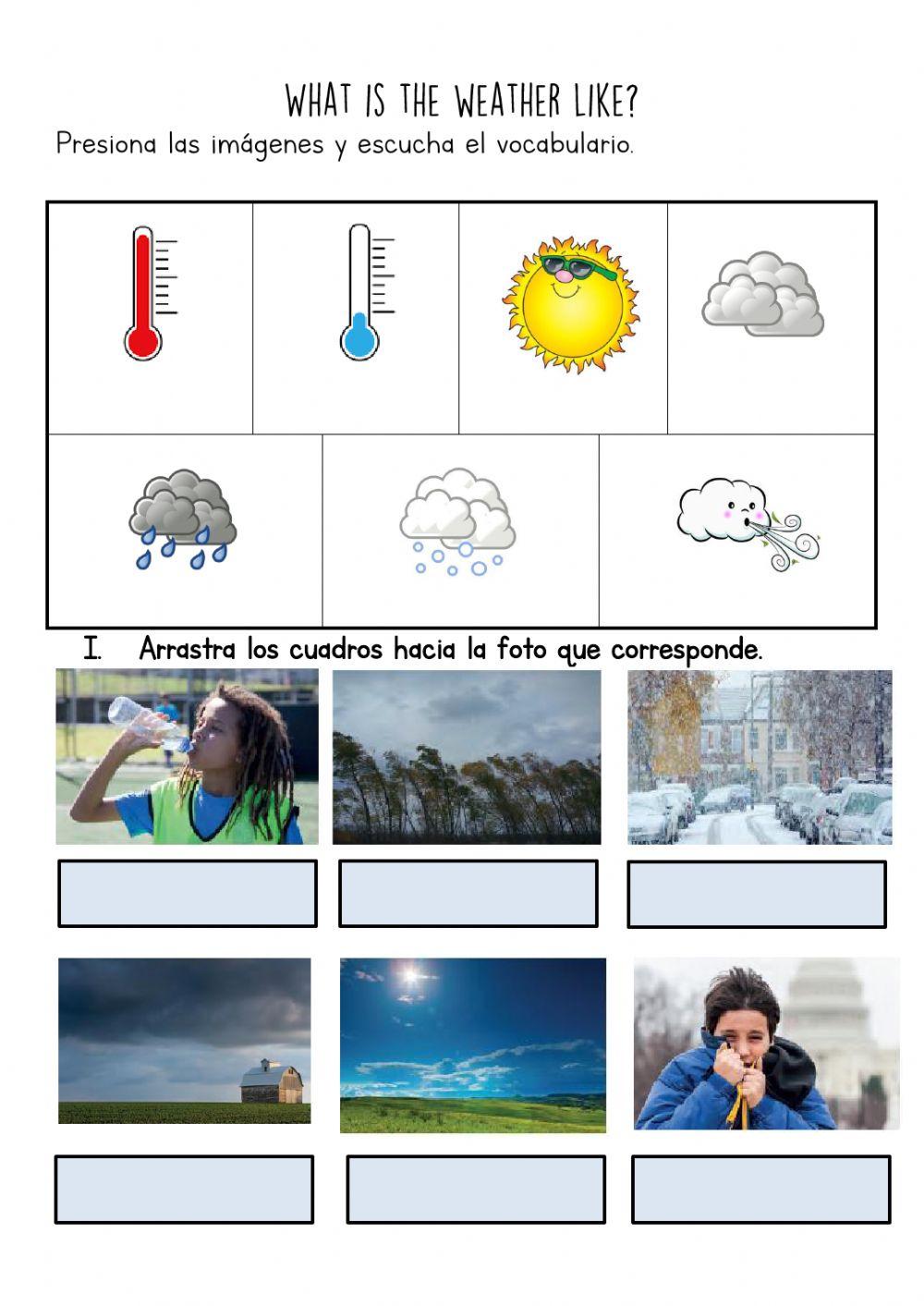 What's the weather like?