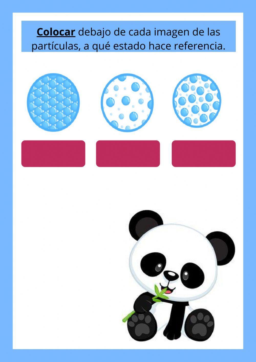 Actividades de ciencias naturales