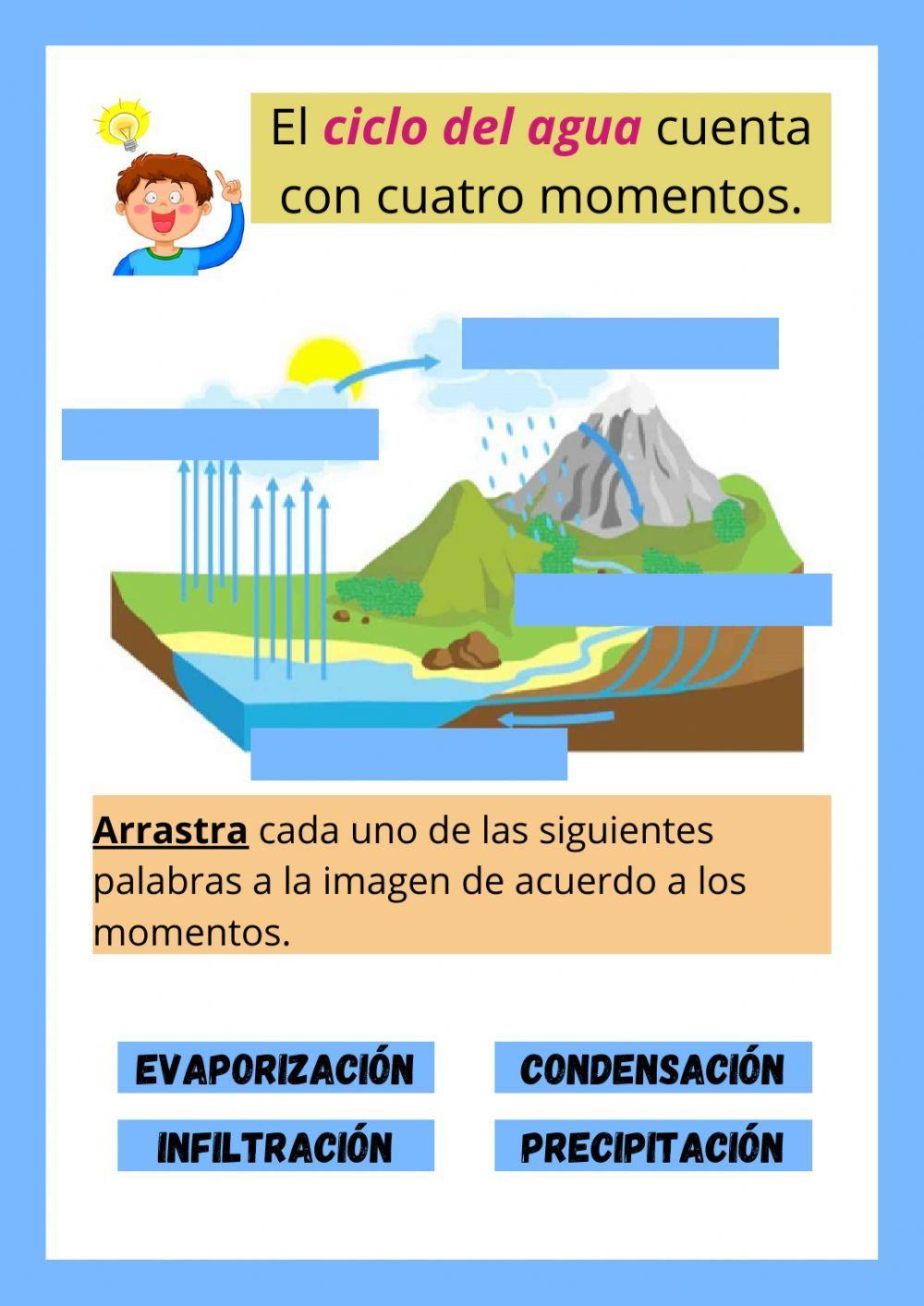 Actividades de ciencias naturales