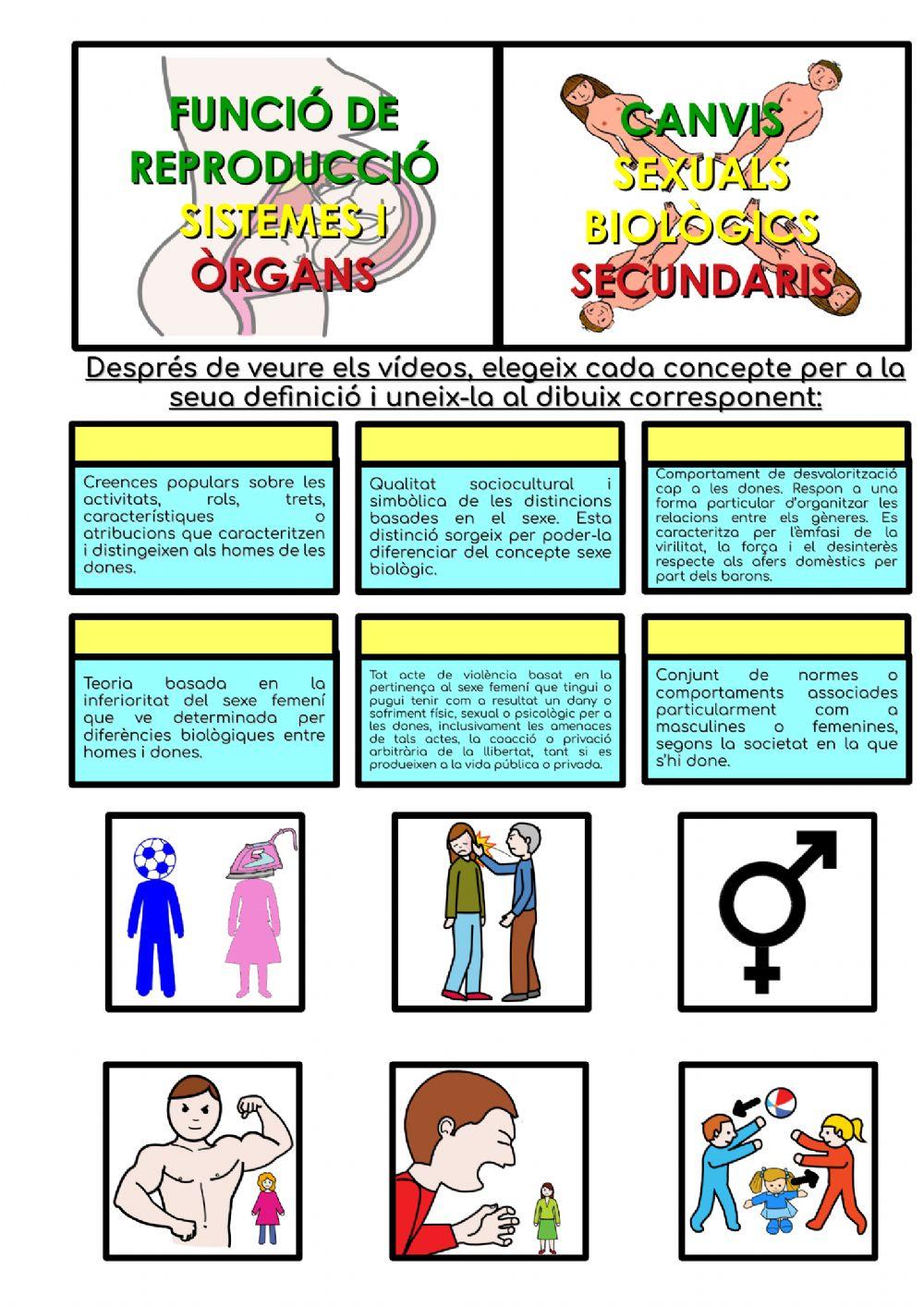 Canvis sexuals secundaris: discriminació 3 Canvis sexuals secundaris: discriminació 3