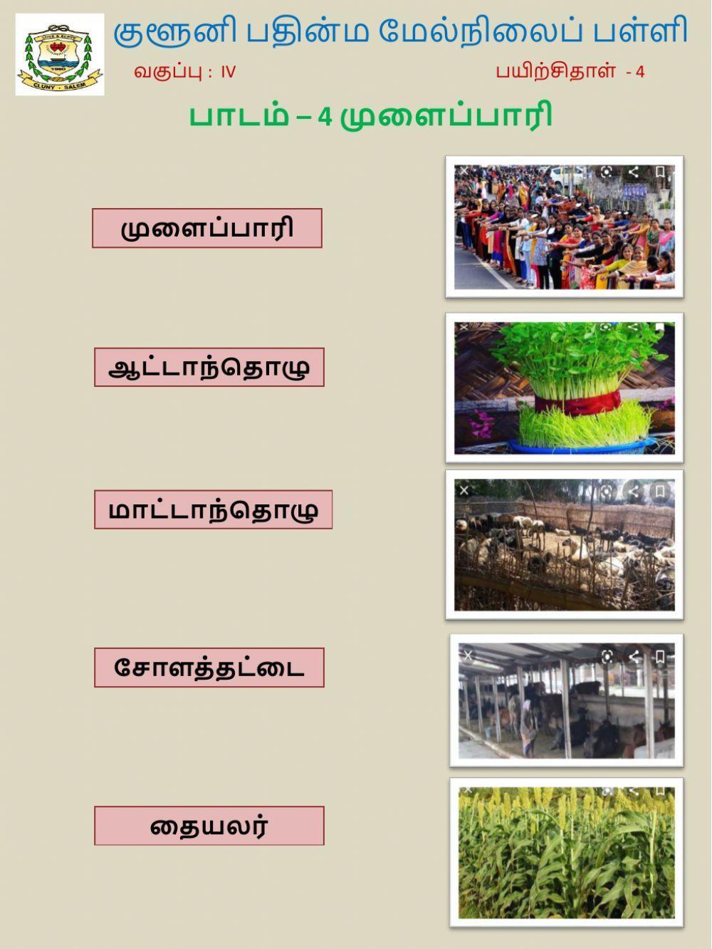 Class 4 Tamil 4