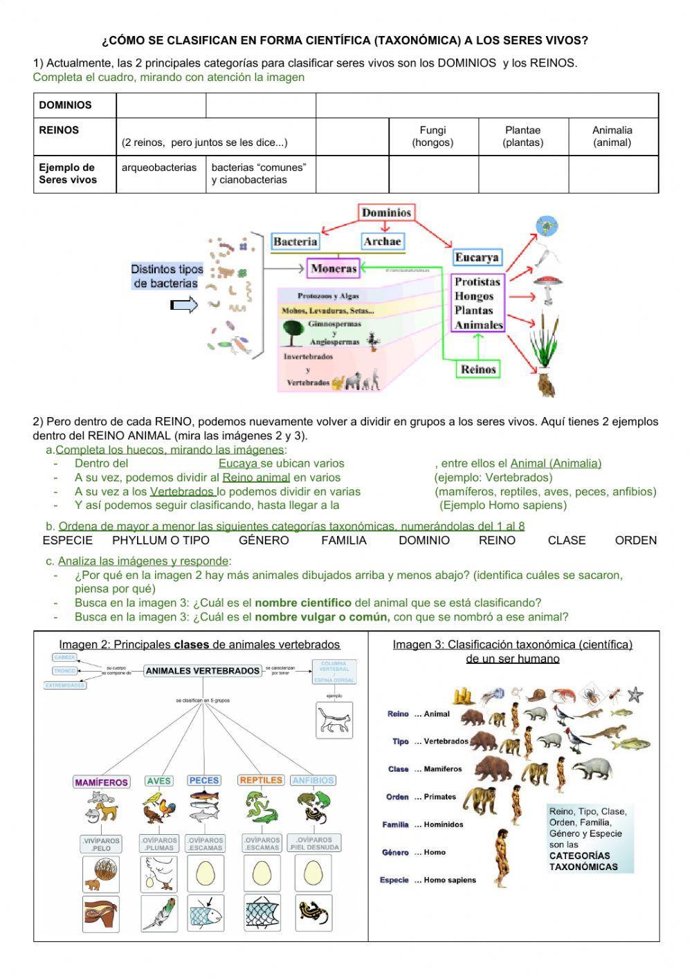 ¿Cómo se clasifican en forma científica los seres vivos?