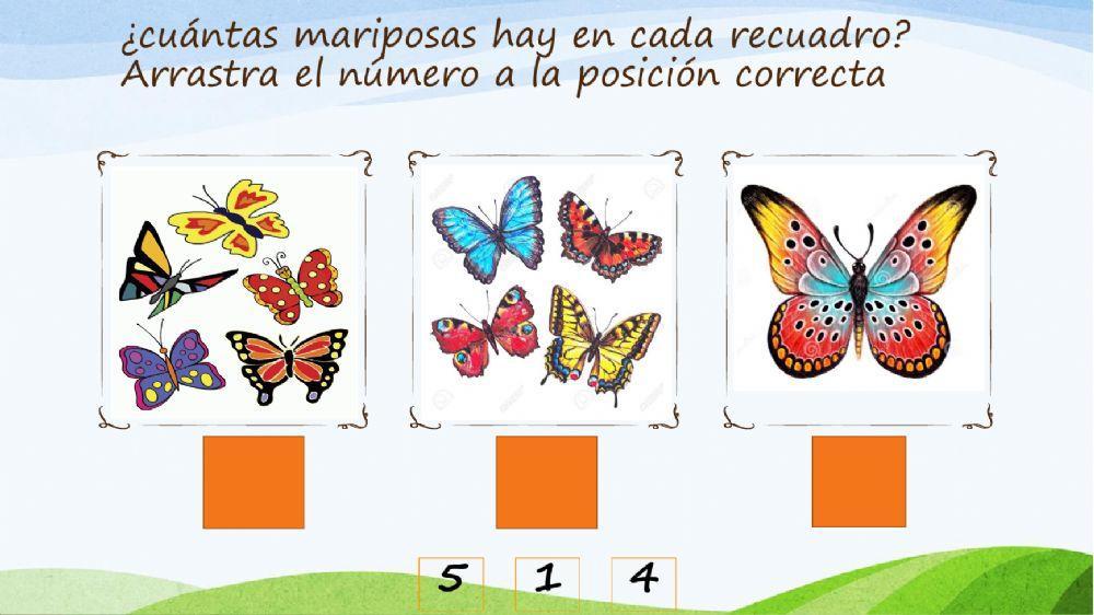 La vida de las mariposas