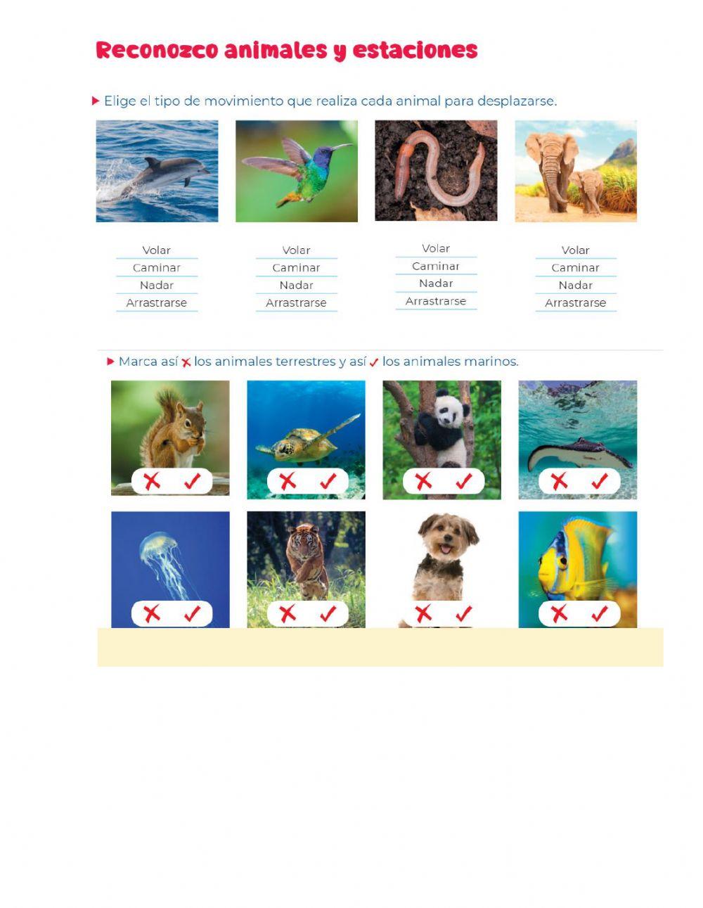 Reconozco animales terrestres y acuáticos