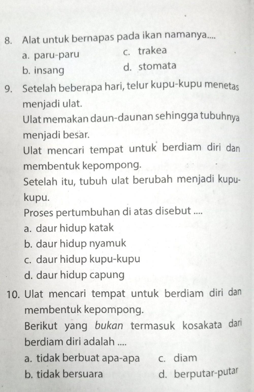 Ulangan bahasa indonesia tema 1 sub tema 3 dan 4
