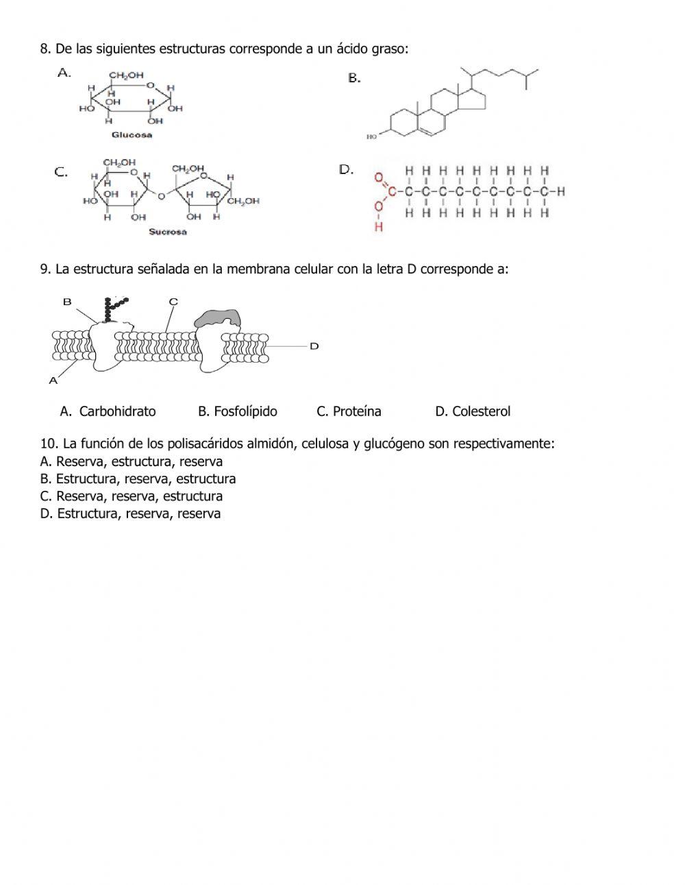Biomoleculas2