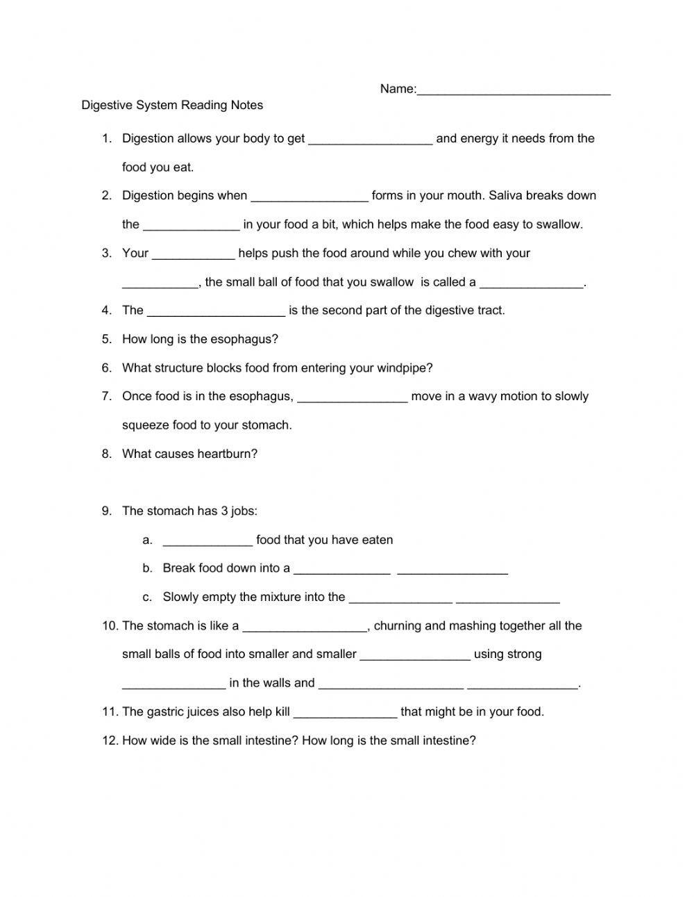 Digestive System Reading Notes Digestive System Reading Notes