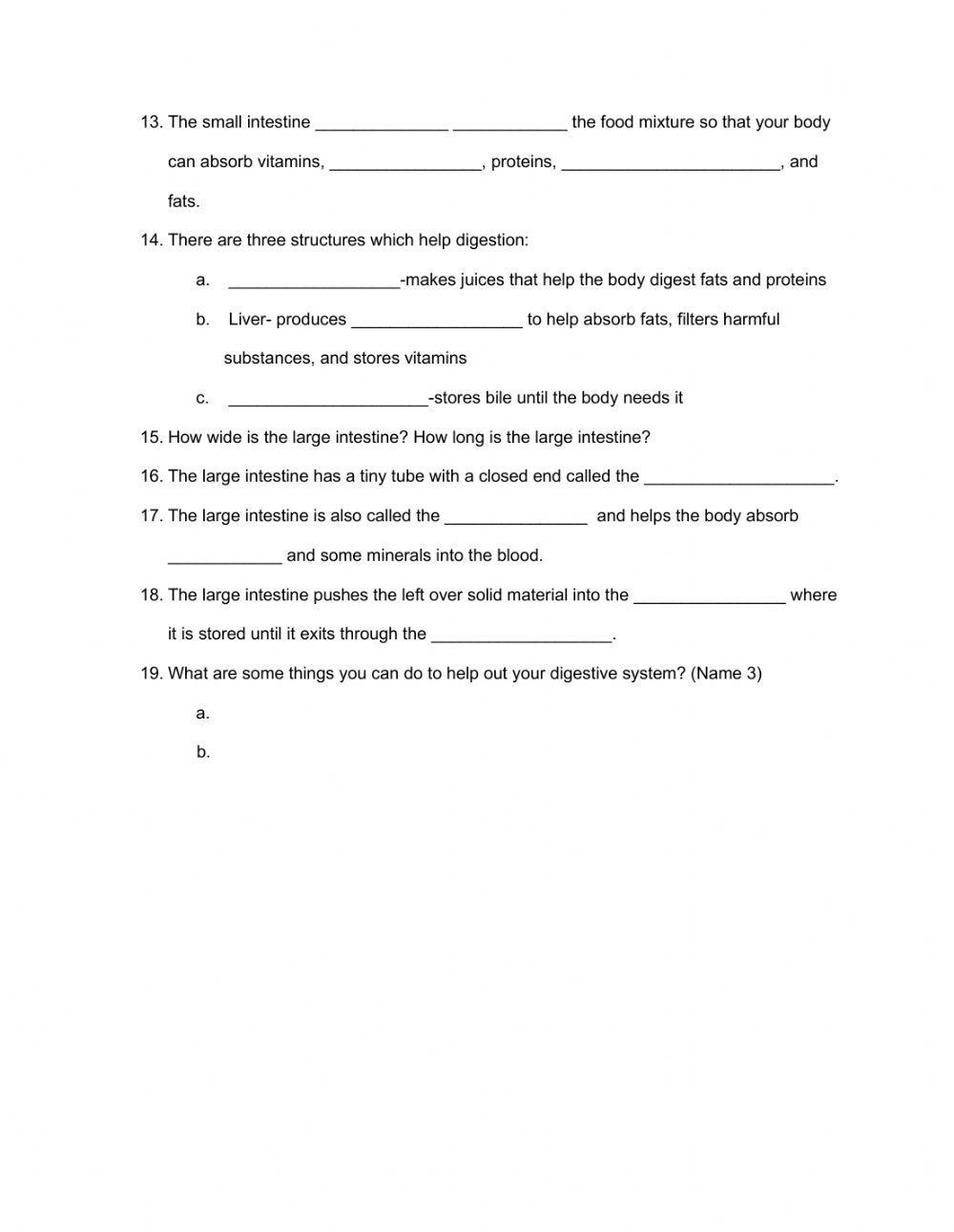 Digestive System Reading Notes