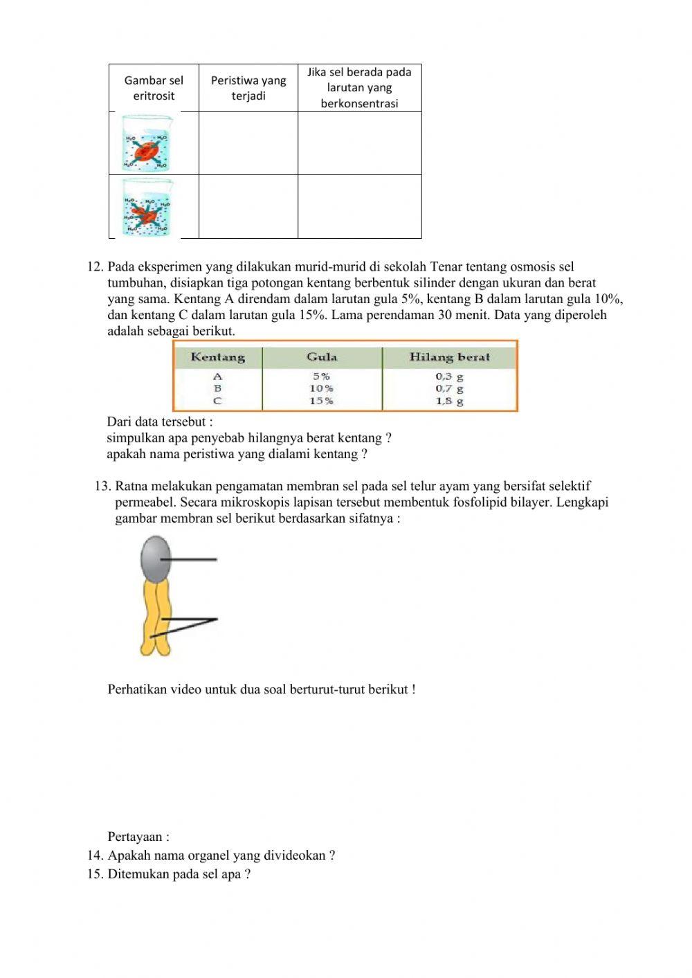 Komponen kimia sel & bioproses