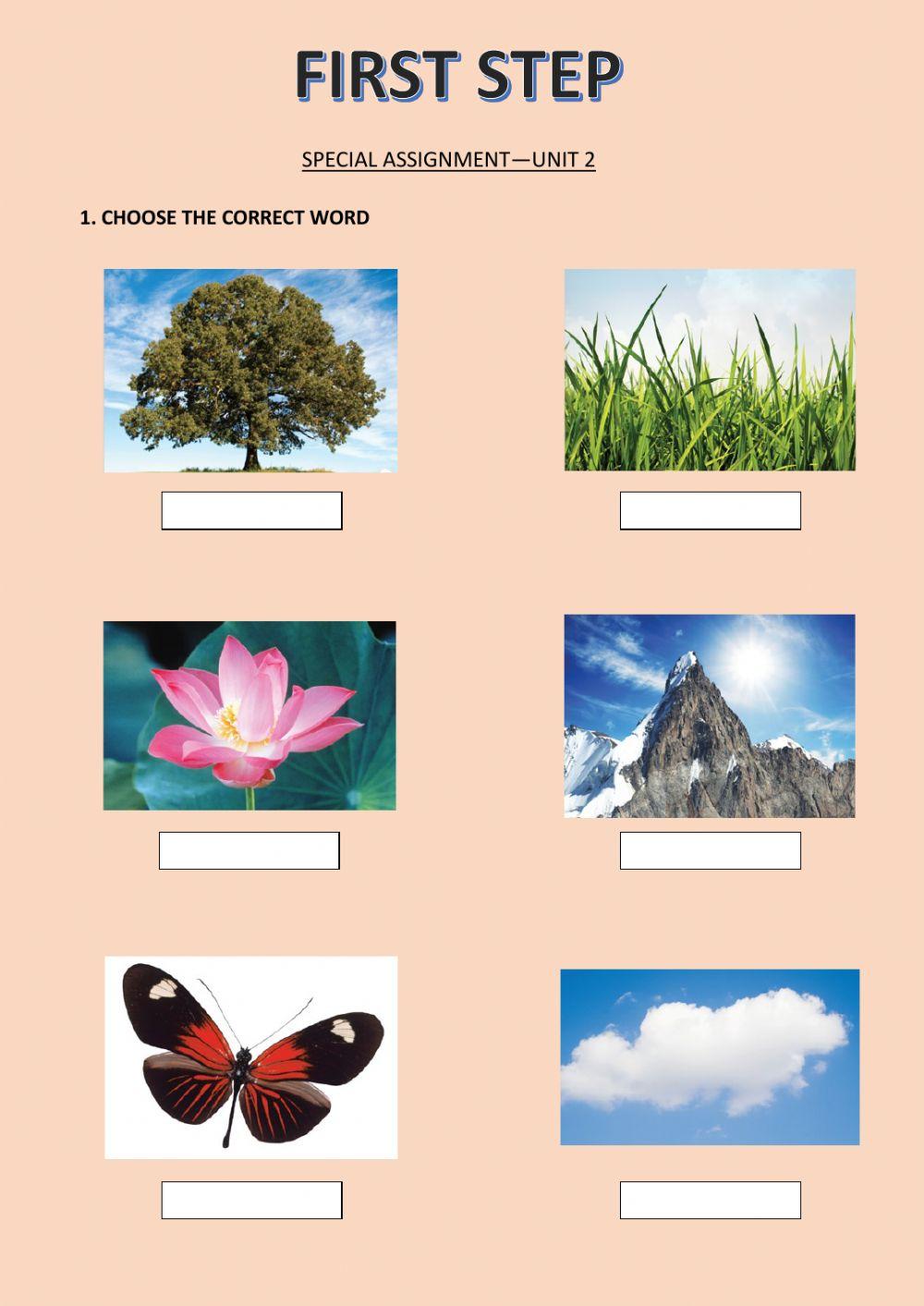 Nature online activity for Grade 1/2 | Live Worksheets