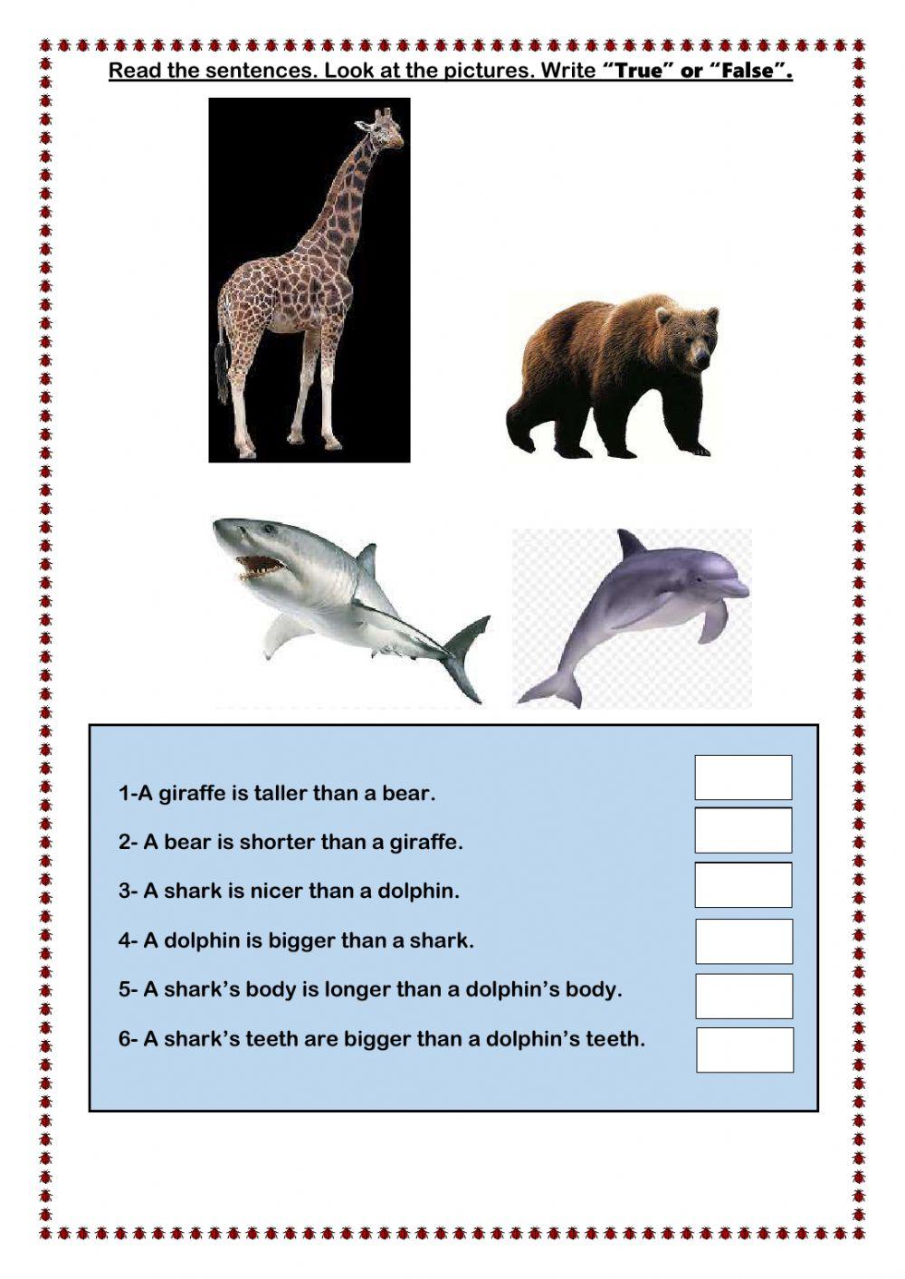 Read and write True or False