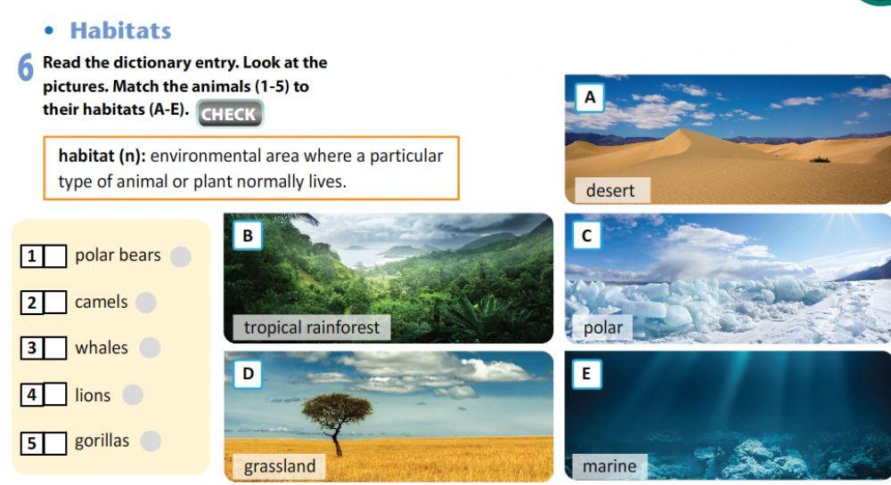 Excel 8 SB  Ex 6p7  by Zhanar Habibullina