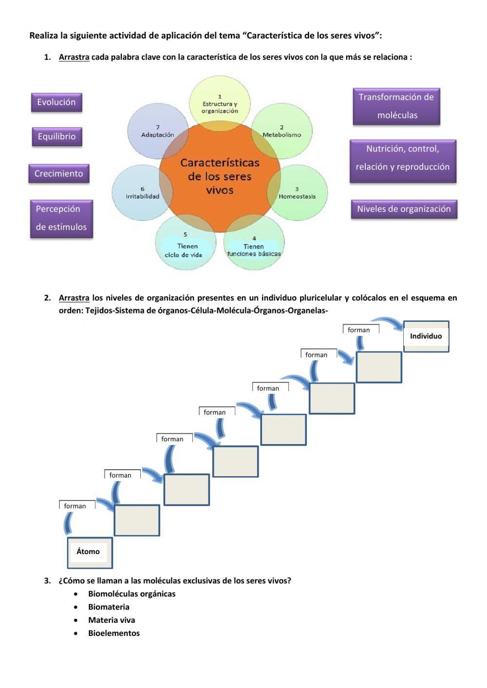 Actividad: características de los seres vivos