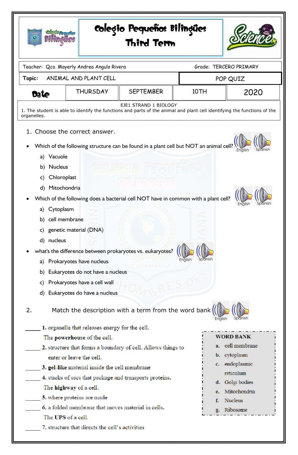 Animal and plant cell - exam - third term-third grade-2020-colpebi