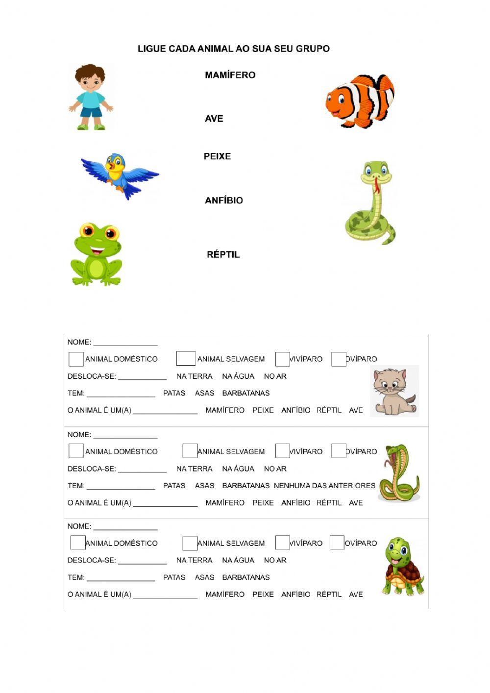 Ciências - classificação animais vertebrados