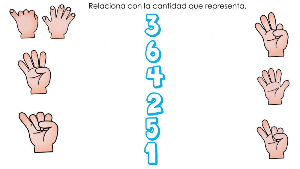 Une la cantidad correcta