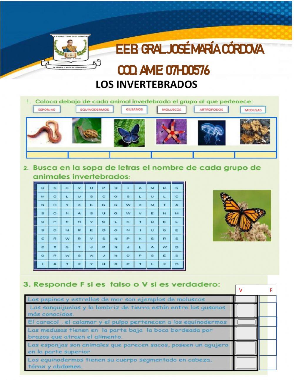 Los Animales Invertebrados