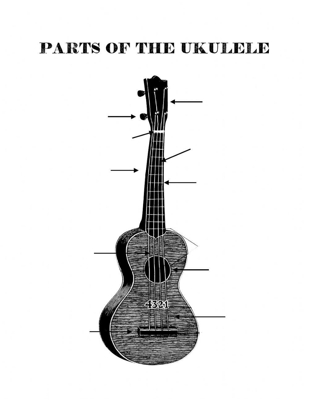 Parts of the Ukulele