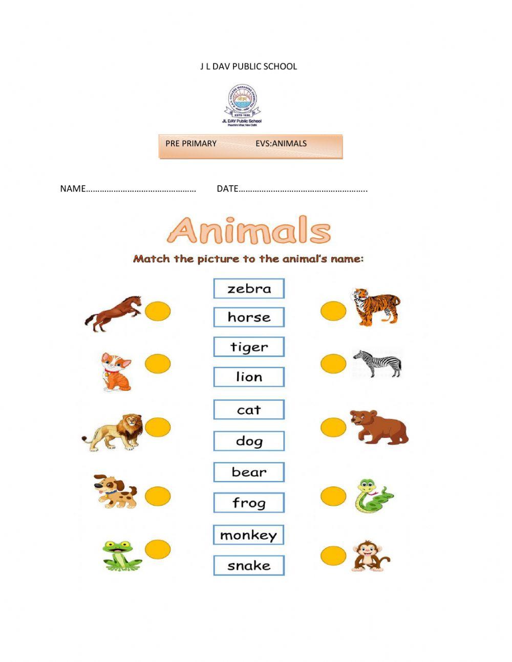 Pre primary EVS animals