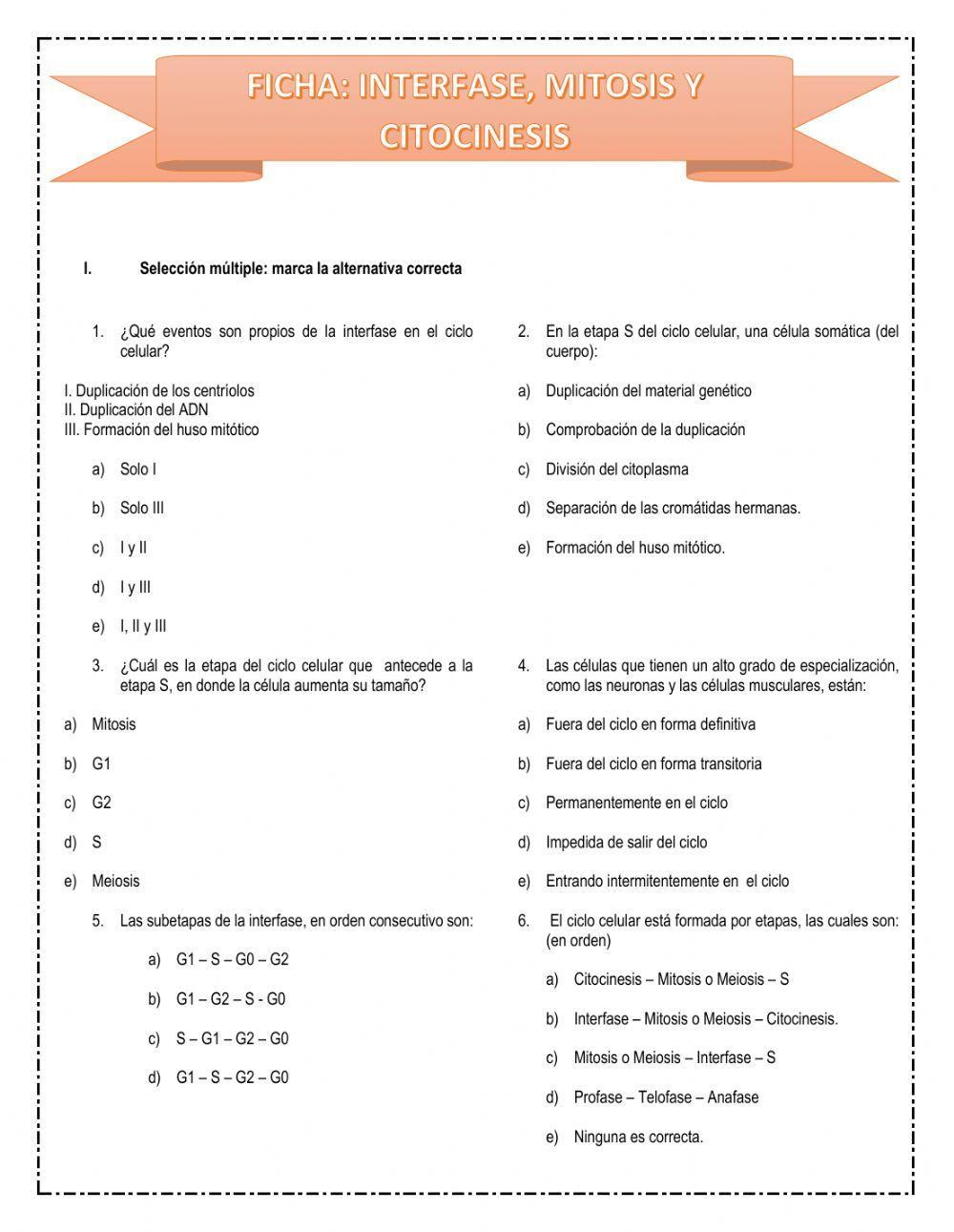 Ciclo celular, mitosis y citocinesis