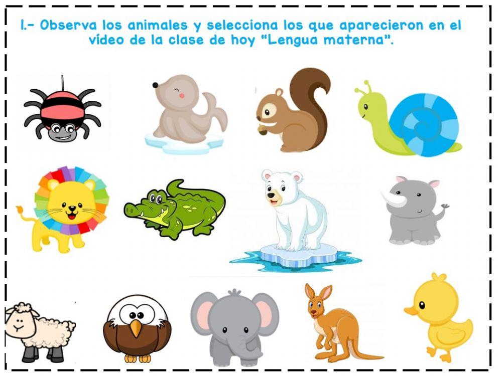 Vídeo 10-9 Lengua materna