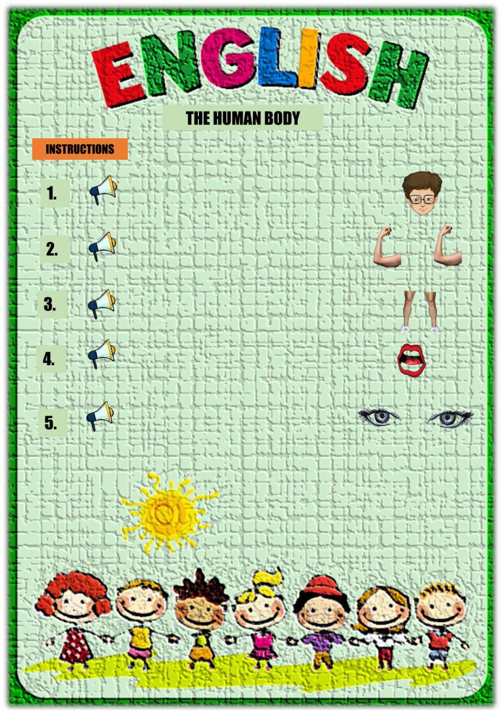 Partes del cuerpo humano