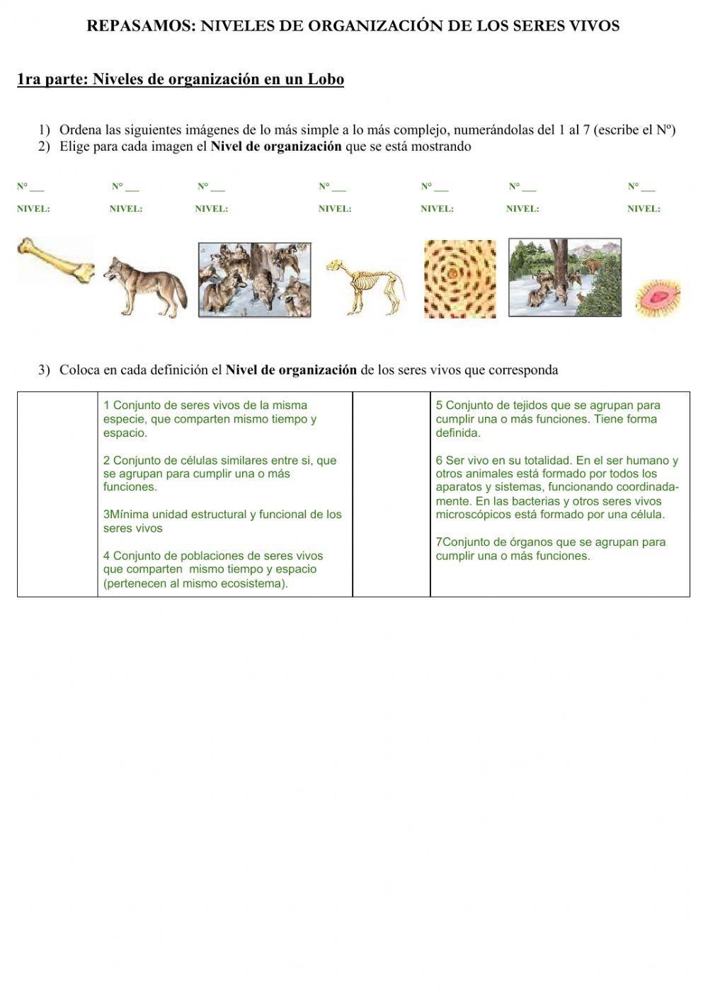 Repasamos Niveles de organizaciòn