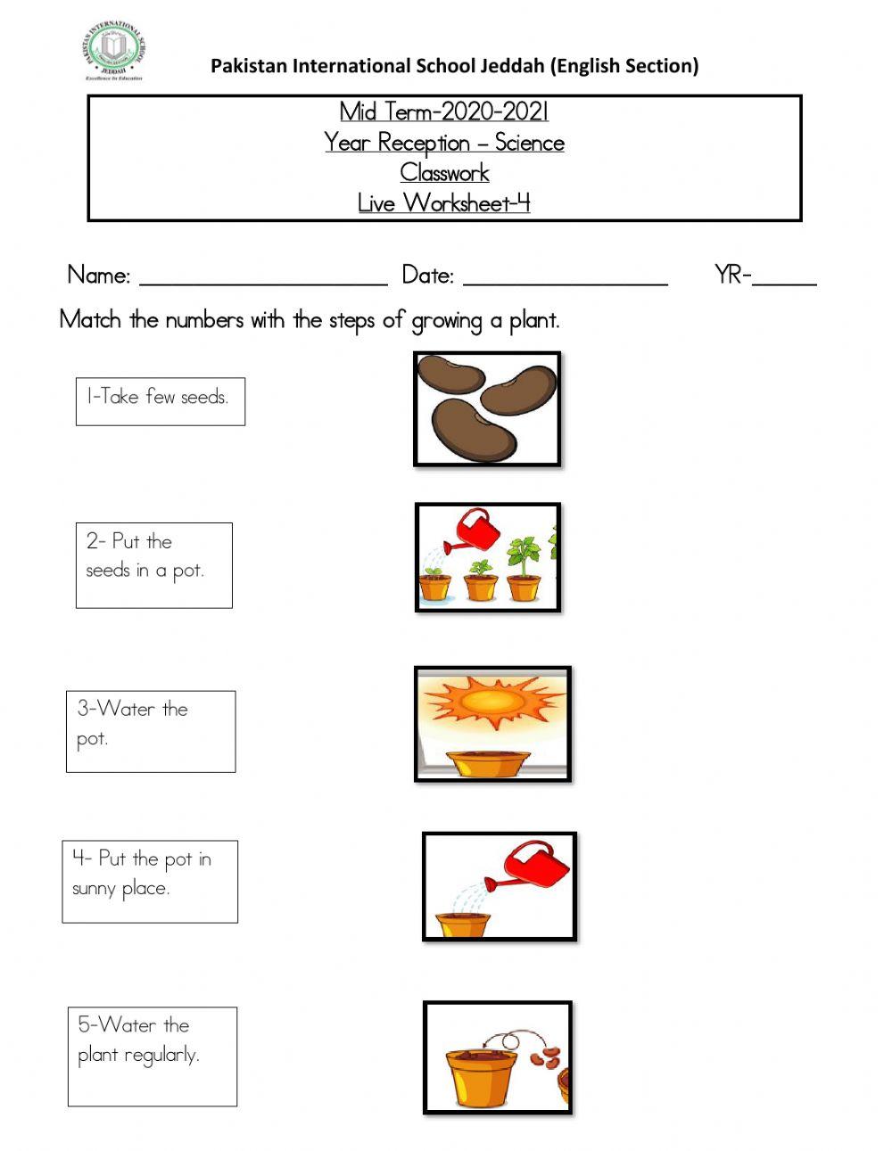 Live worksheet 4 activity Live Worksheets