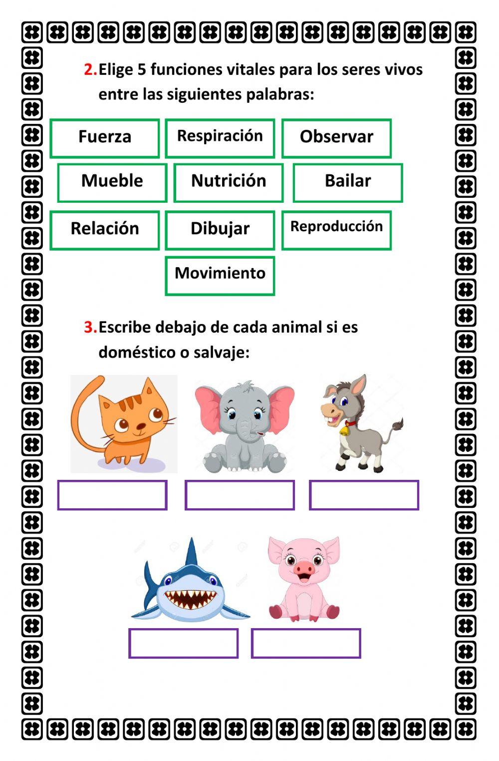 Evaluación ciencias