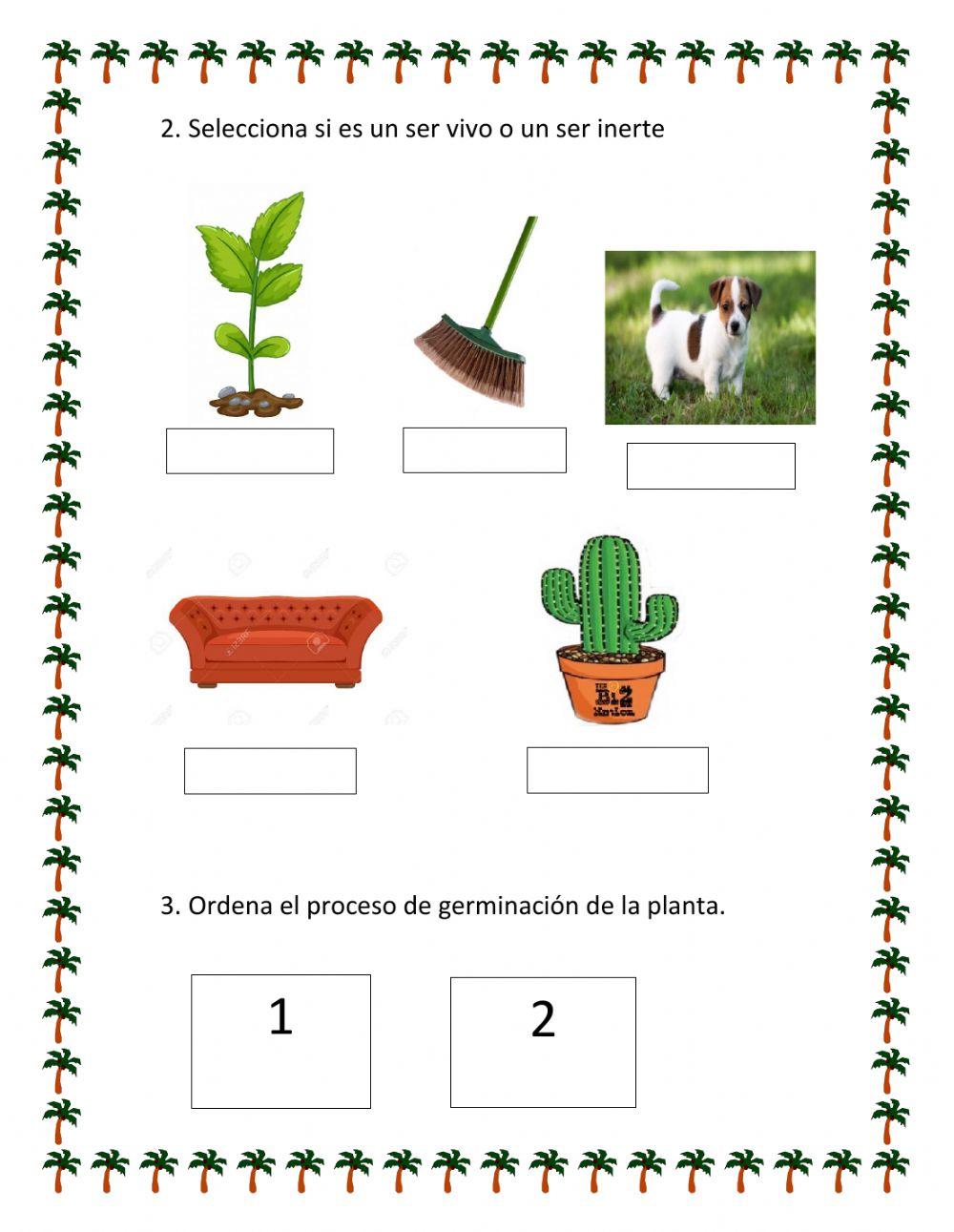 Evaluación de Ciencias
