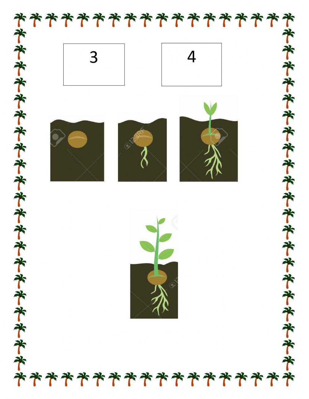 Evaluación de Ciencias