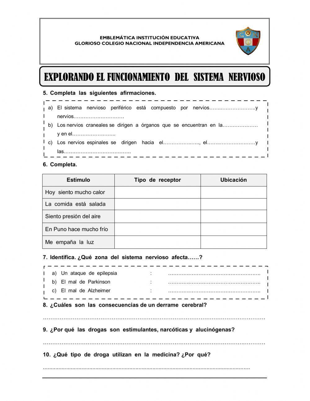 Retroalimentación sistema nervioso