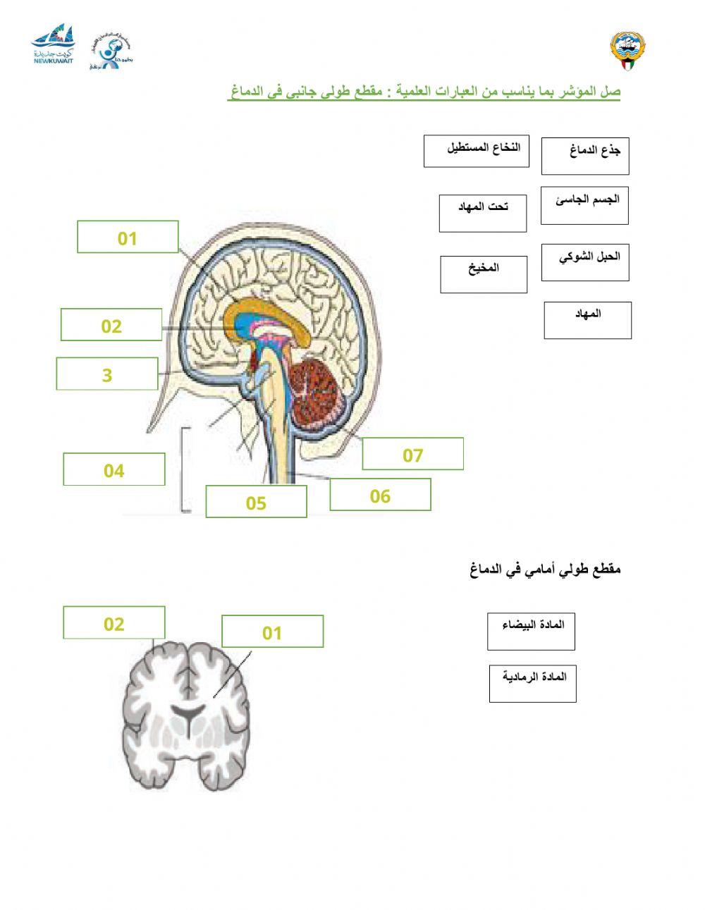 إختبار إلكتروني