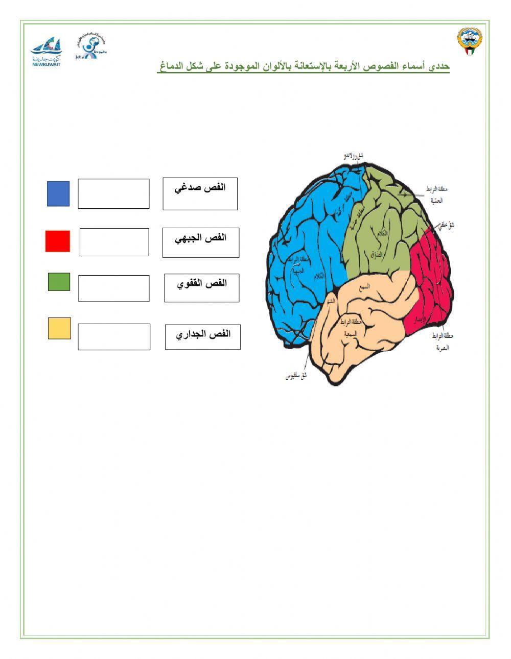 إختبار إلكتروني