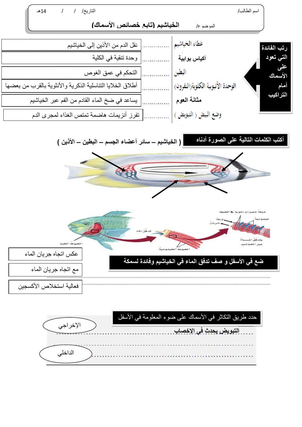 ورقة 2تفاعلية2