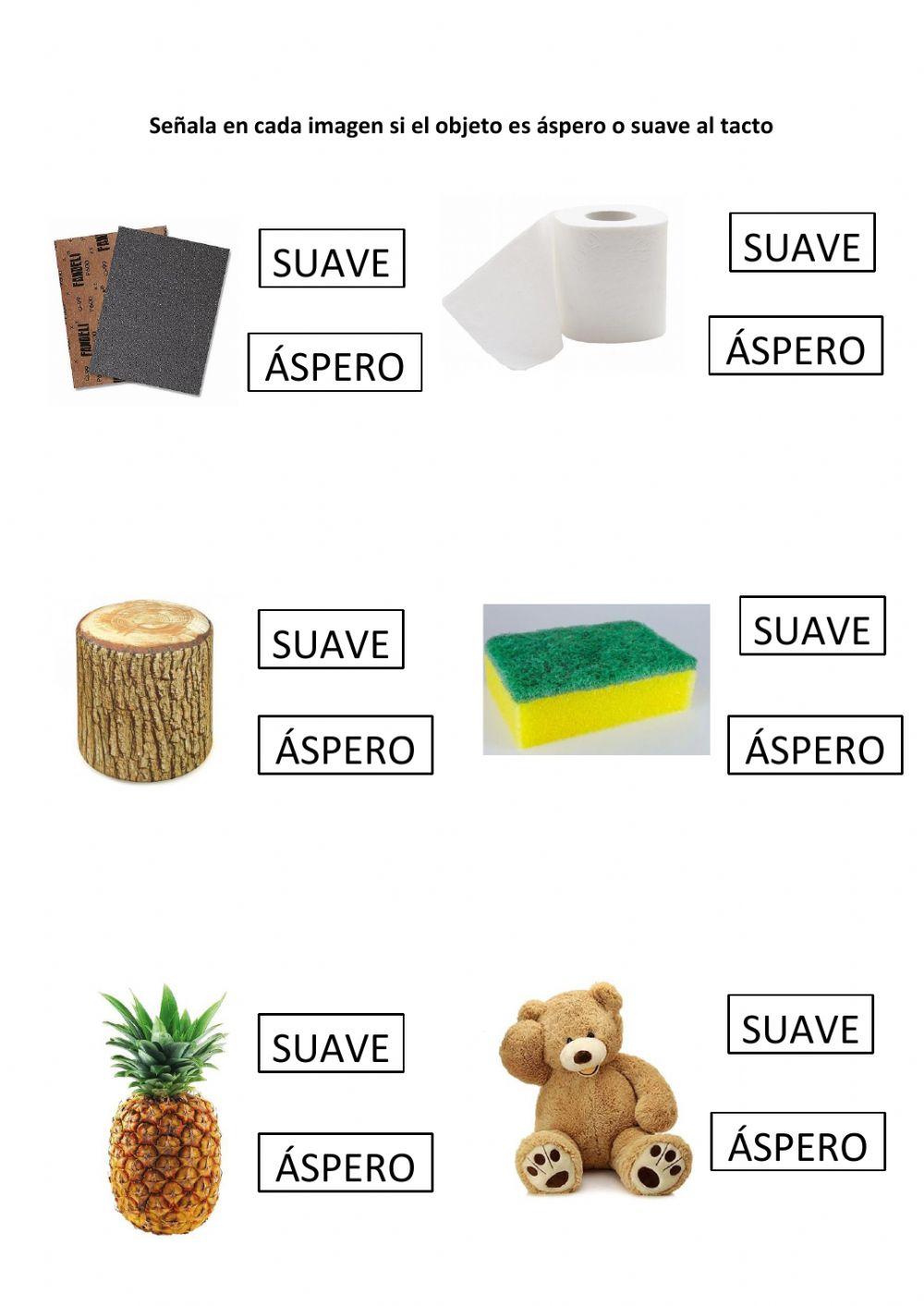 Ficha sentido del tacto