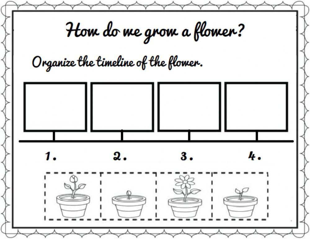 How do we grow a flower?