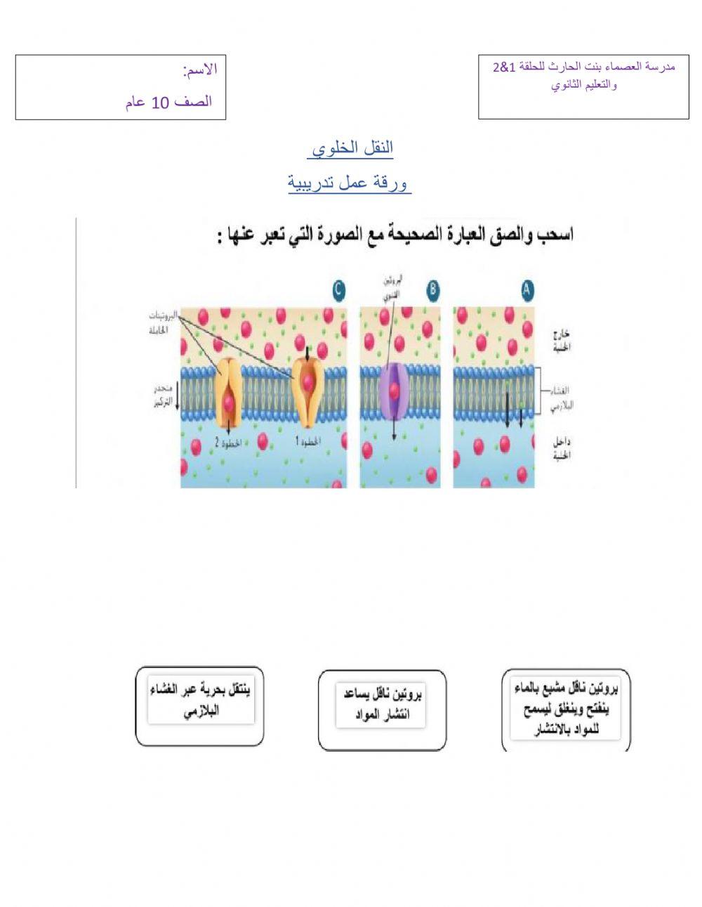 النقل الخلوي