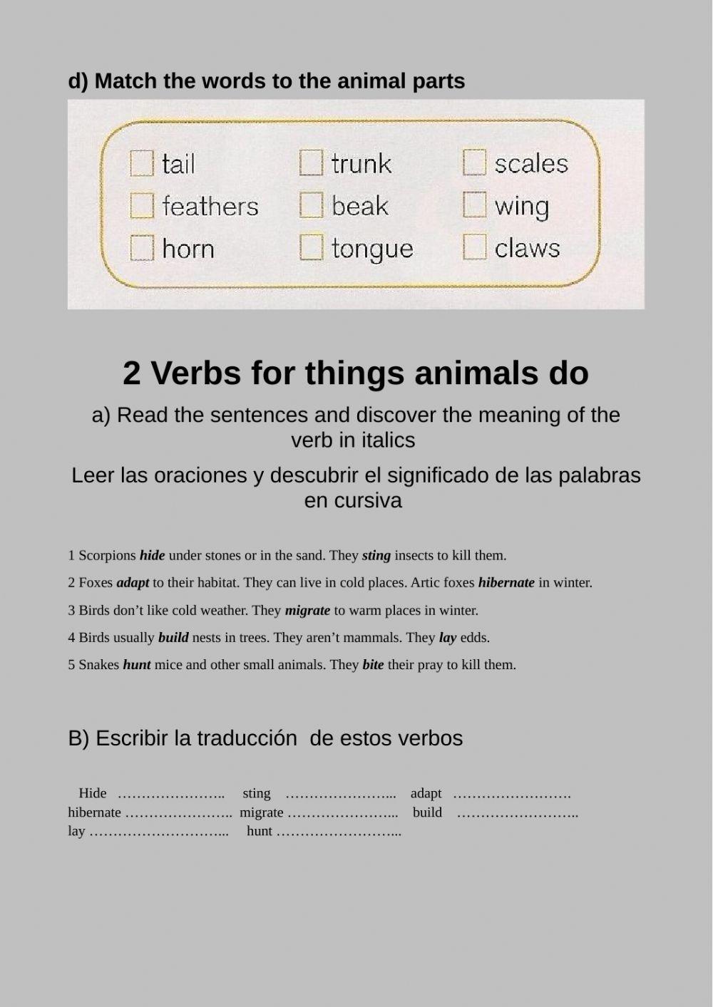 Animals and animals classification