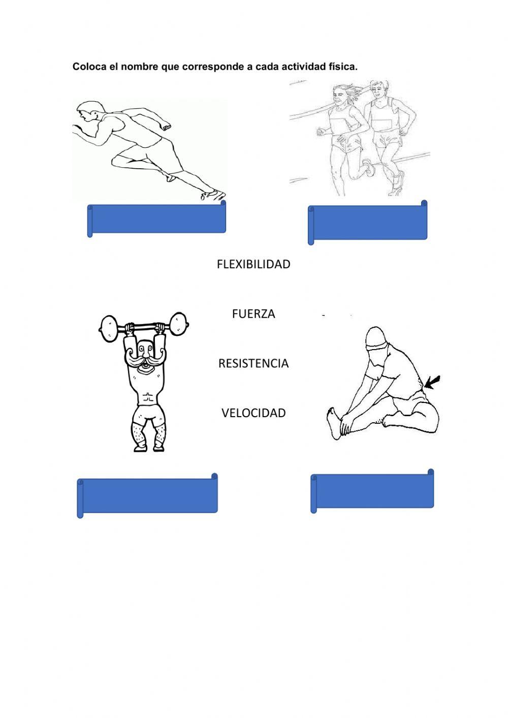 Capacidades físico condicionales
