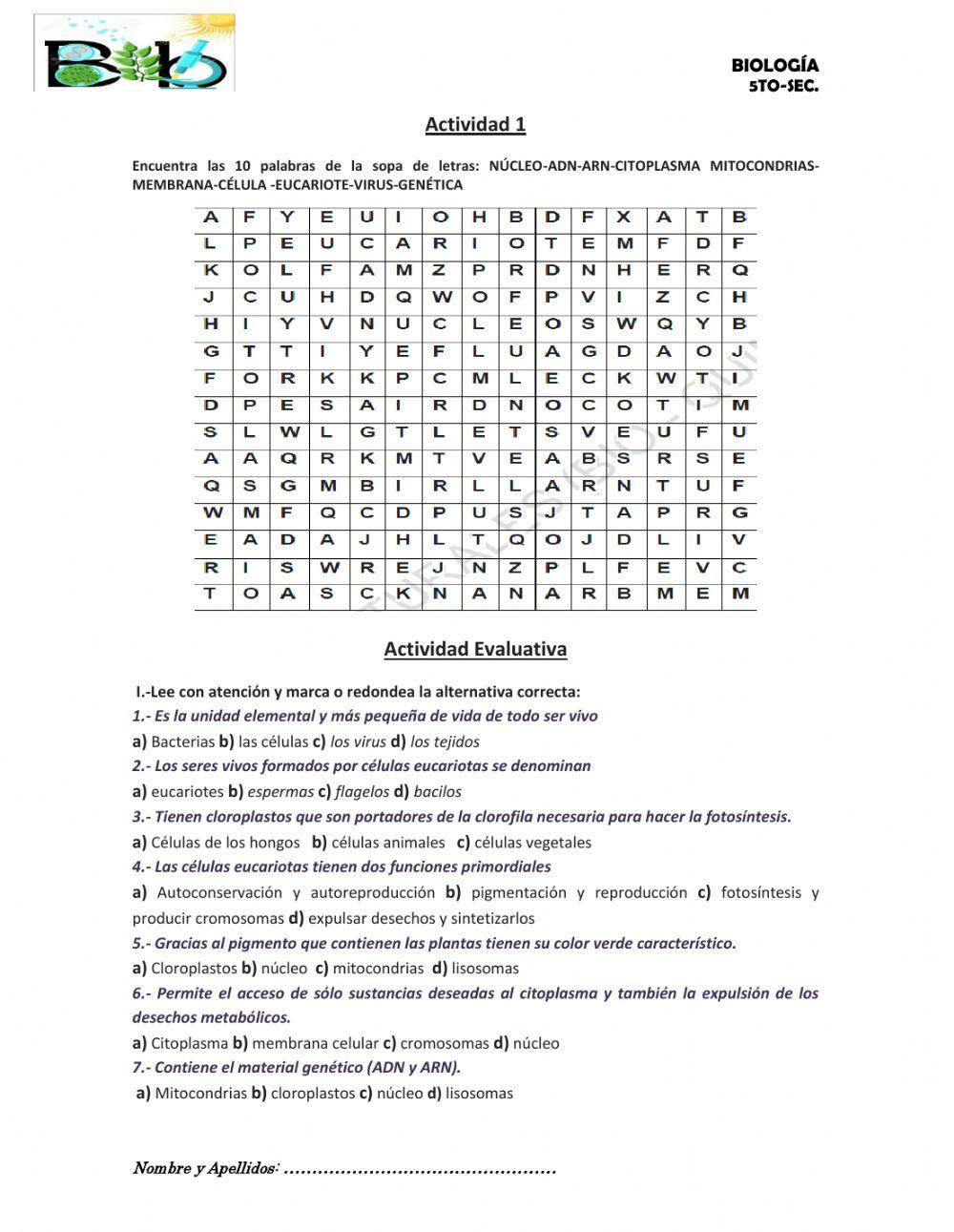 Organizacion y funcion de la celula eucariota