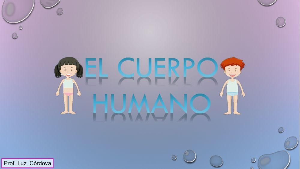 El cuerpo humano