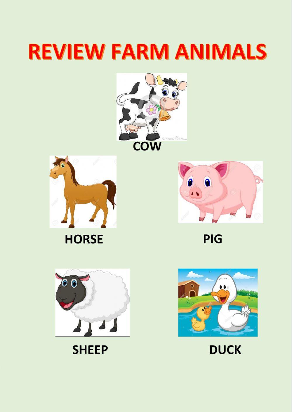 Review farm animals